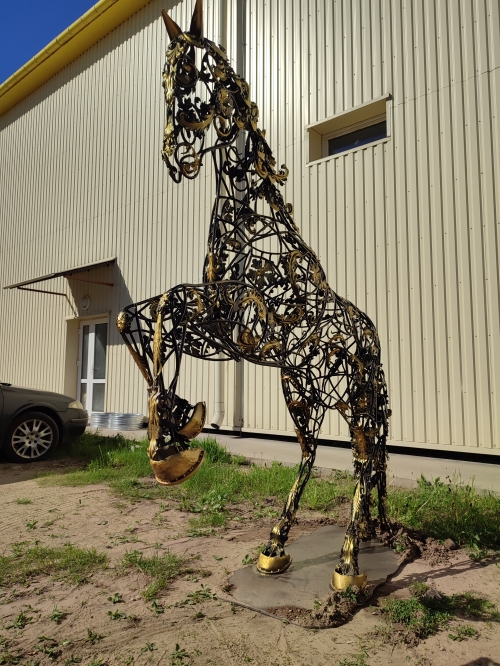 МАФ "Чёрная лошадь"