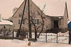 Ворота кованые и калитки №12